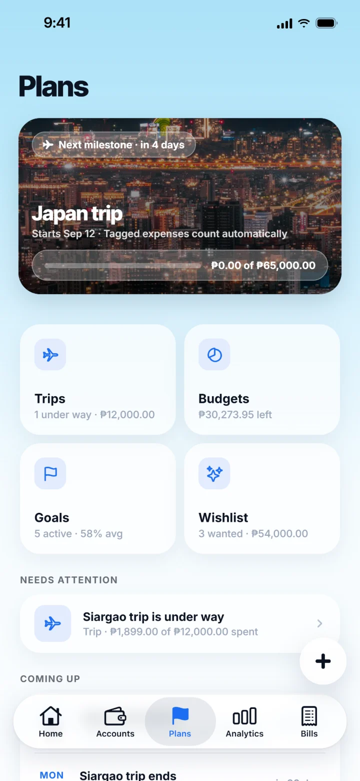 Plans: a Japan trip, budgets, goals and wishlist